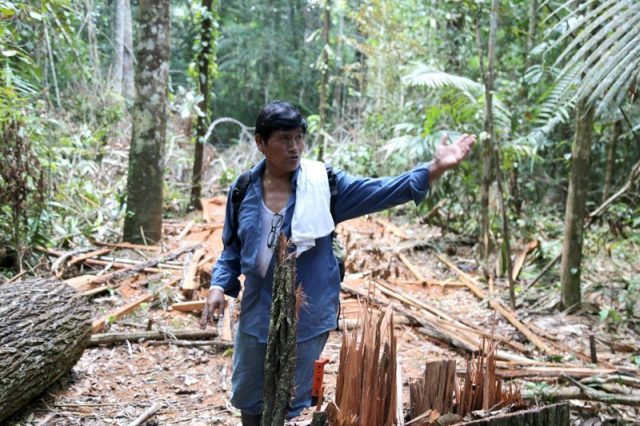 Asesinan a defensor ambiental indígena: conmoción en Perú