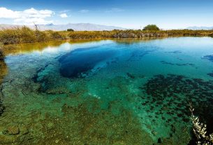 Coahuila: En el Top 5 de Estados Más Seguros de México