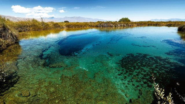 Coahuila: En el Top 5 de Estados Más Seguros de México