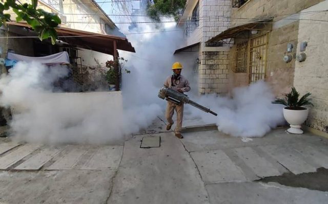 Guerrero lidera a nivel nacional en casos de dengue