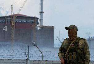 OIEA Advierte sobre Riesgos en la Planta Nuclear de Zaporiyi