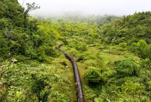 Dominica avanza hacia la Independencia Energética