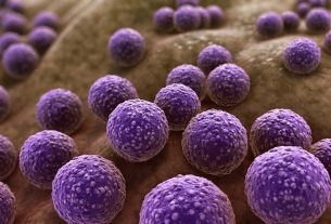 OMS publica lista de 15 Bacterias Amenazantes