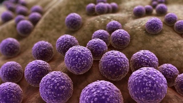 OMS publica lista de 15 Bacterias Amenazantes