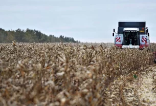 UE acordó imponer aranceles elevados al grano Ruso y Bielorruso