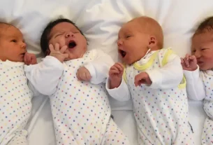 Alemania tiene menos habitantes de lo anteriormente estimado