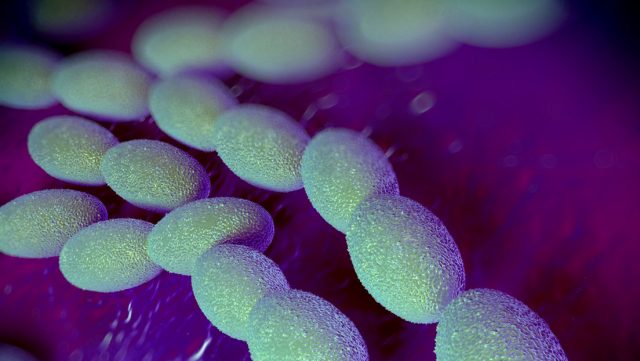 Bacteria carnívora letal rompe récord de Infecciones en Japón