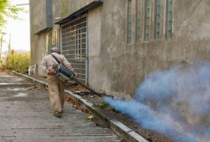 Incremento de casos de dengue en Guerrero durante una Semana