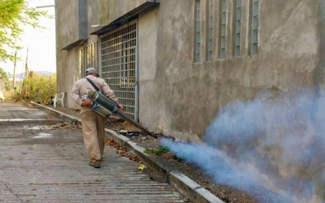 Incremento de casos de dengue en Guerrero durante una Semana