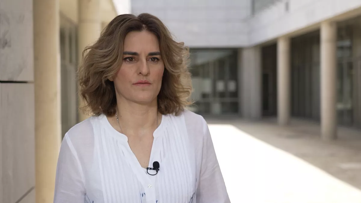 Proyecto Herodotus II Explora la Historia de Chipre y el Egeo