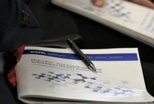 Revelan importante ruta de absorción de 'Químicos Eternos'