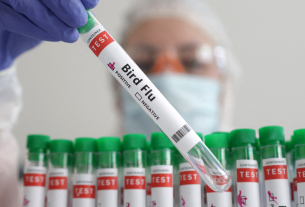 5 claves para mantener la vigilancia epidemiológica