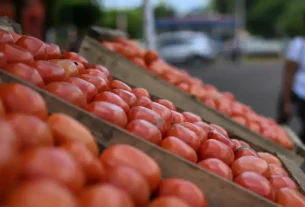 Bukele se compara con Hugo Chávez por iniciativa de agro-mercados