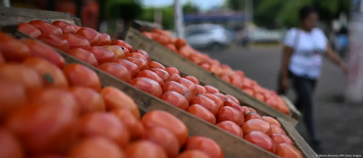 Bukele se compara con Hugo Chávez por iniciativa de agro-mercados