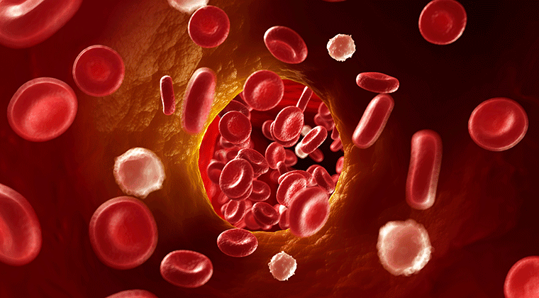 Fármacos que previenen la formación de Trombosis