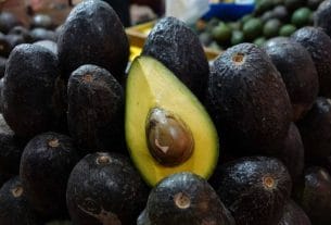 México y EU cierran queja laboral en aguacatera de Michoacán