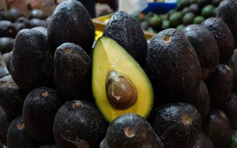 México y EU cierran queja laboral en aguacatera de Michoacán