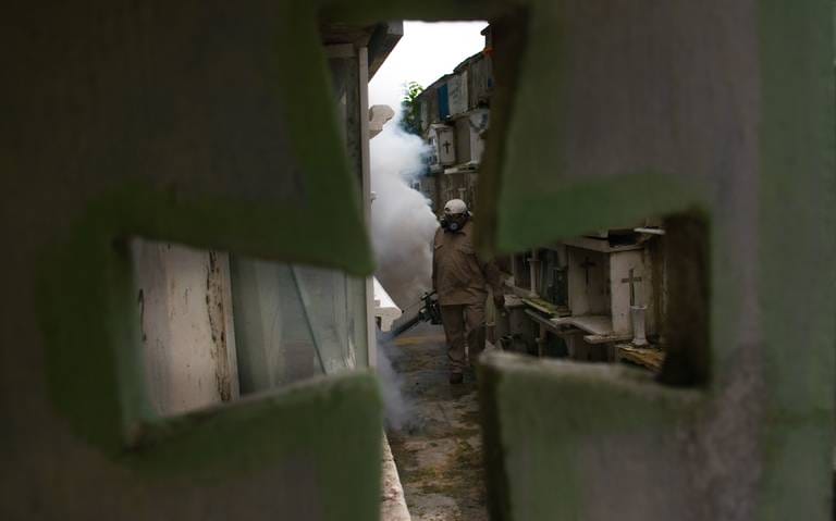 Aumenta el número de muertes por Dengue en Guerrero