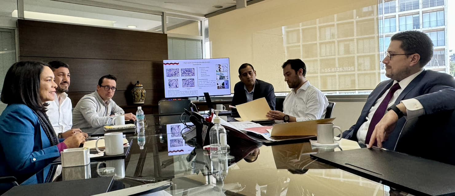 Beatriz Mojica impulsa mejoras en vivienda en Guerrero