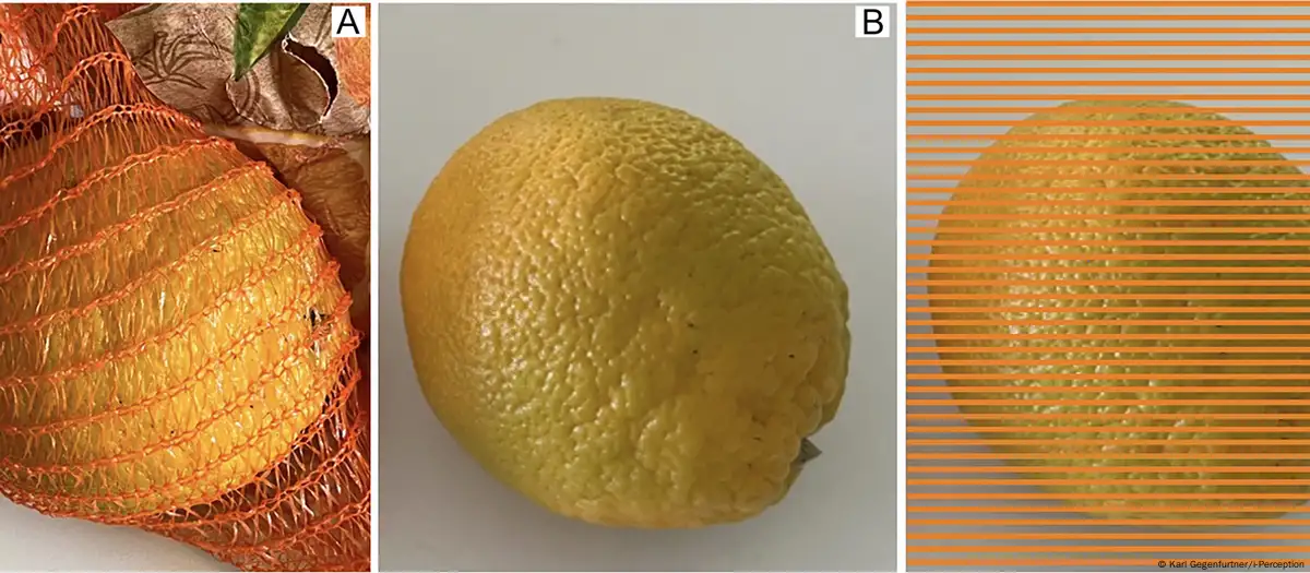 La razón por la que naranjas se venden en bolsa de red roja