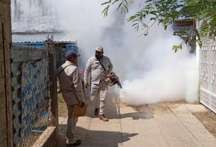 Aumentan casos de dengue en Guerrero Un desafío de salud pública