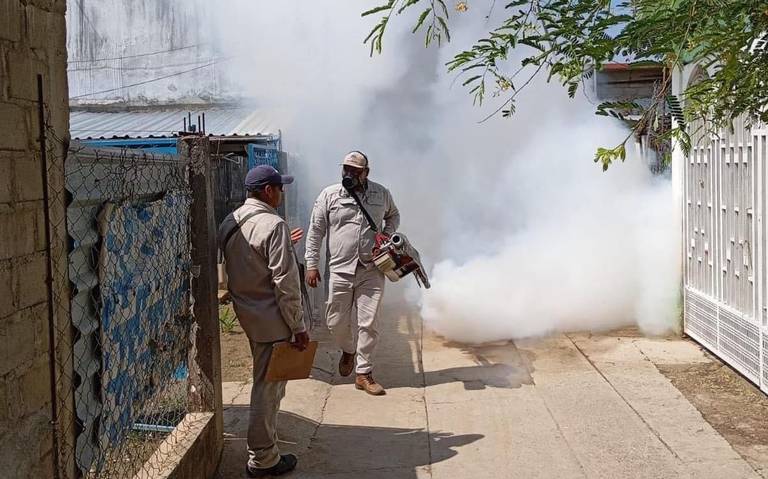 Aumentan casos de dengue en Guerrero Un desafío de salud pública