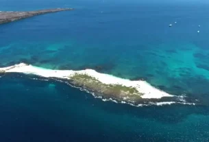 COP16 La economía del norte y la biodiversidad del Sur