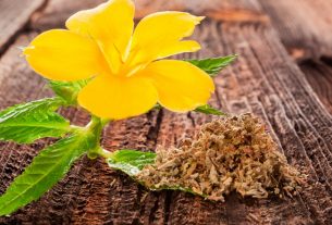 Té de damiana y cúrcuma Fortalecen tus bronquios