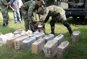 Decomisan más de 500 kg de drogas en la frontera
