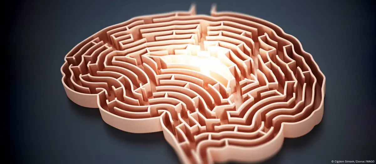 Descubren el mecanismo cerebral detrás de la creatividad