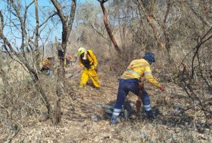 Autoridades combaten incendio forestal en Platanillo, Iguala