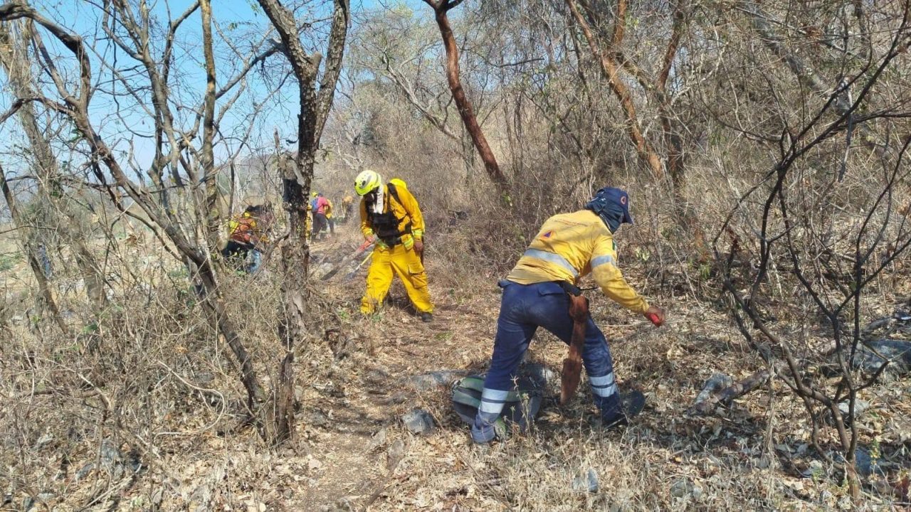 Autoridades combaten incendio forestal en Platanillo, Iguala