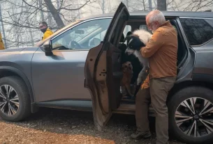 Evacuaciones por incendios en Carolina del Norte y del Sur