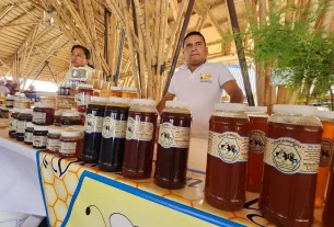 Guerrero Líder en Producción de Miel a Nivel Nacional