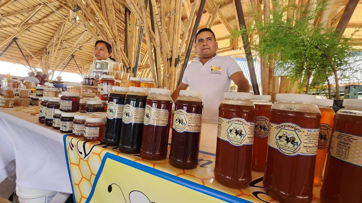 Guerrero Líder en Producción de Miel a Nivel Nacional