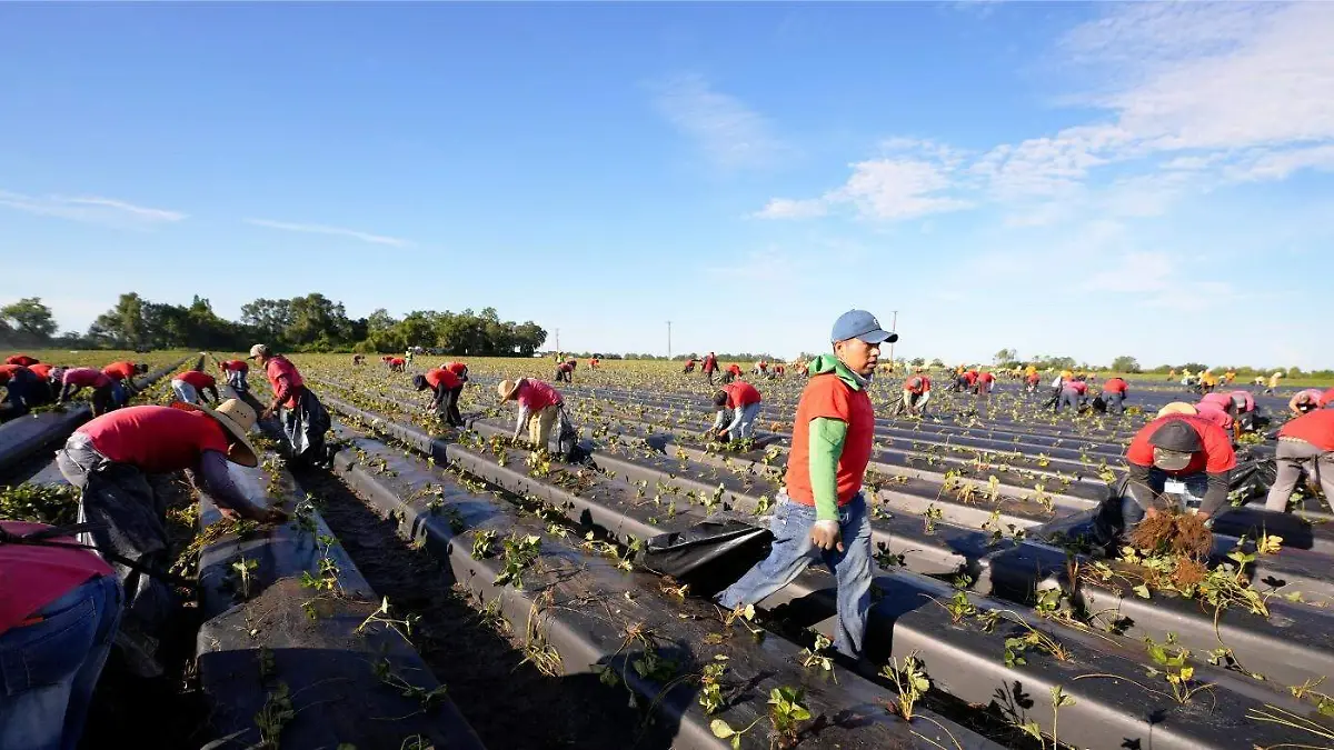 Guerrero fortalece respaldo a migrantes agrícolas