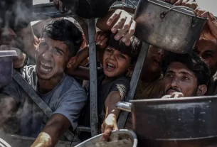 OMS Gran parte de la población de Gaza sufre hambre