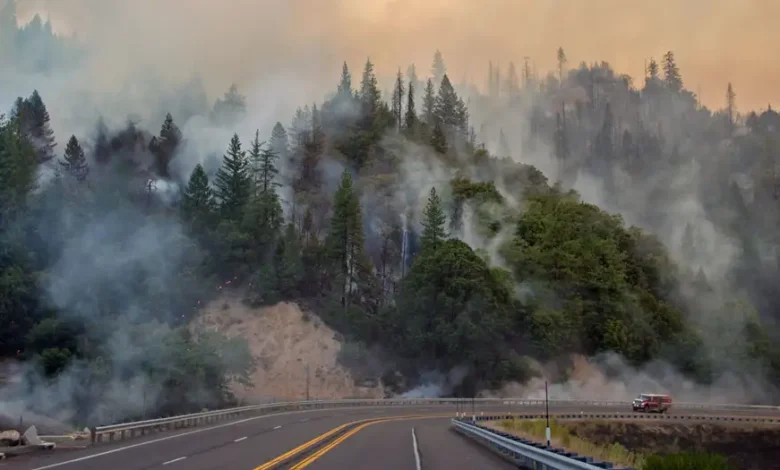 EE.UU incendio en Florida obliga a evacuaciones masivas