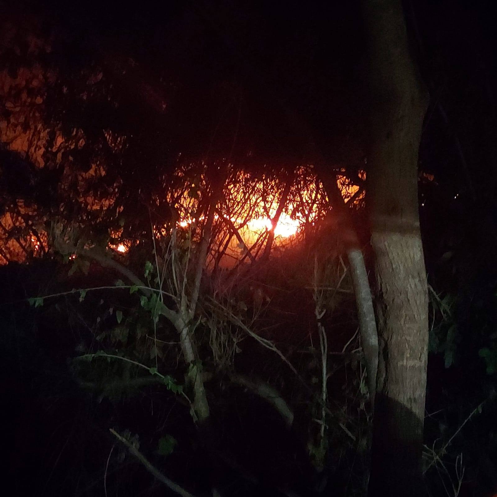 Fuerte incendio amenaza viviendas en La Calera, Acapulco