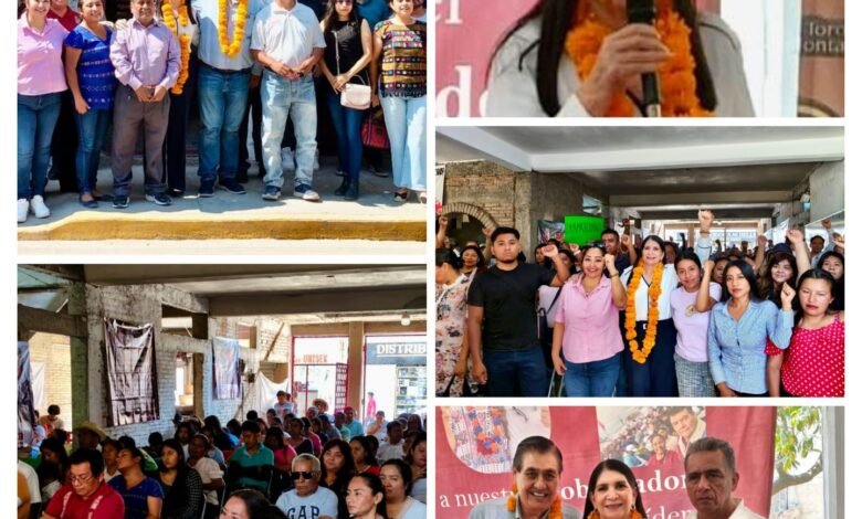 Guadalupe Eguiluz presenta Plan Guerrero en La Montaña