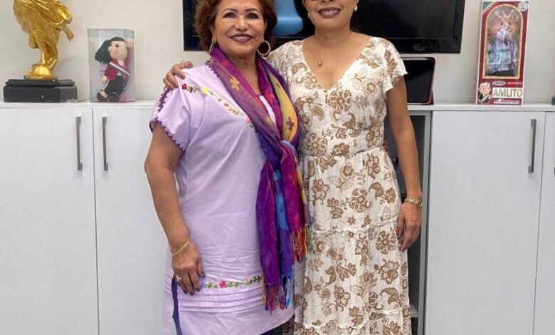 Adela Román Ocampo durante un acto público en Acapulco, Guerrero
