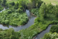 Aguas subterráneas cómo protegerlas ante la escasez