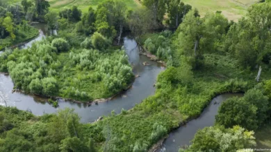 Aguas subterráneas cómo protegerlas ante la escasez
