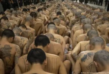 Culmina juicio masivo contra jefes de la MS-13 en El Salvador