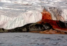 El glaciar que sangra revela sus secretos en la Antártida