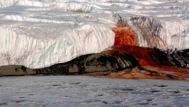 El glaciar que sangra revela sus secretos en la Antártida