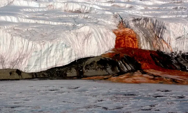 El glaciar que sangra revela sus secretos en la Antártida