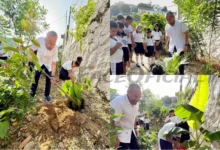 Fermín Alvarado siembra árboles en jardín de Acapulco