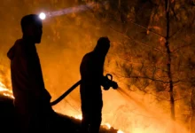 Incendios forestales en Europa ceden en Francia y España