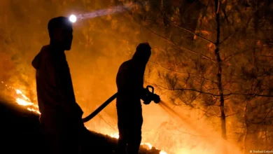 Incendios forestales en Europa ceden en Francia y España